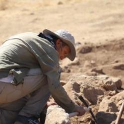 Karahantepe'de 250 dikili taş gün yüzüne çıkarılıyor
