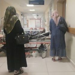 Bursalı yaşlı adam ceviz toplarken ölümden döndü