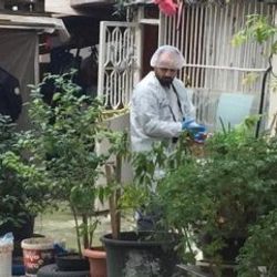 Gece eşini öldüren adam, sabah polise teslim oldu