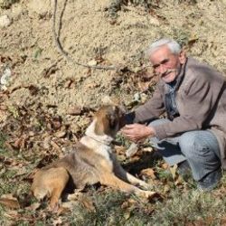 Mahsur kalan köpeği, yanına iple inerek kurtardı