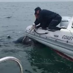 Mersin'de balıkçıların ağına 2 ceset takıldı