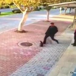Marketin önündeki kedilere tekme attı