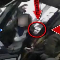 Durak faresi kameralara yakalandı