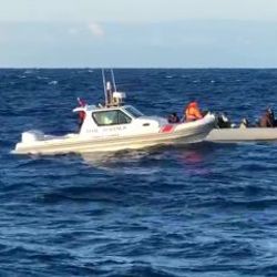 İzmir’de 30 kaçak göçmen yakalandı
