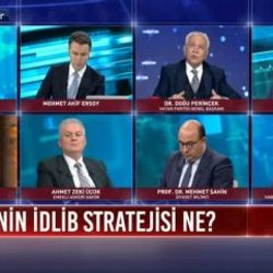 Doğu Perinçek'ten canlı yayında Esad güzellemesi