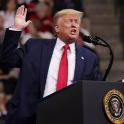 Trump'tan Pelosi'ye: Sayende oylarım arttı