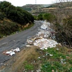 Başakşehir'de orman moloz yığınlarıyla doldu