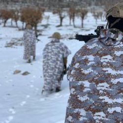 'Kapan-6 Zori''de 10 sığınak imha edildi