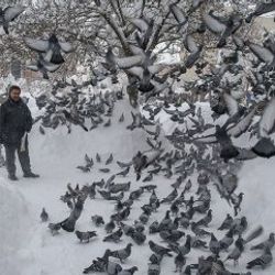 30 yıldır binlerce kuşa evladı gibi bakıyor