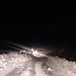 Siirt'te 30 köy yolu, kar nedeniyle kapandı