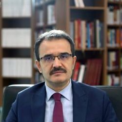 75'i AB vatandaşı 229 yabancı terörist sınır dışı edildi