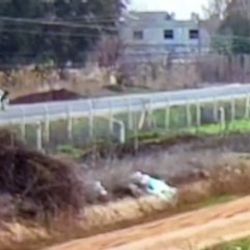 Şanlıurfa'da araç çarpan çocuk hayatını kaybetti