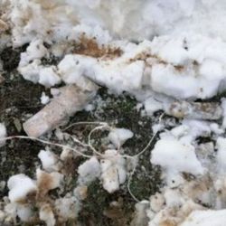 Bitlis’te bir adet EYP ele geçirildi