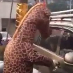 Koronavirüsten zürafa kostümüyle korunmaya çalışan Çinli
