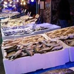 Balıkçılar, tombik balığını palamut diye satıyor