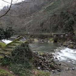Rize'de tarihi kemer köprü yıkıldı