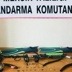 Mersin'de tarihi eser arayan 2 kişi suçüstü yakalandı