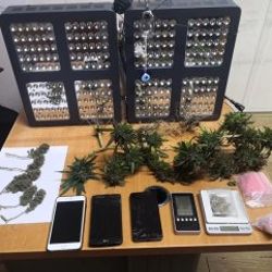 Ataşehir'de uyuşturucu tarlasına çevrilen ev