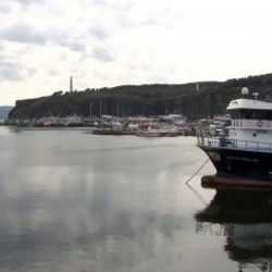 Türk balıkçılar göçmenleri ücretsiz taşımaya gönüllü