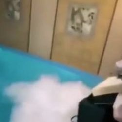 İnstagram fenomeninin doğum gününde 3 kişi öldü
