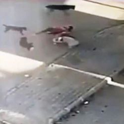 Köpeğini kurtarmak için canını hiçe saydı