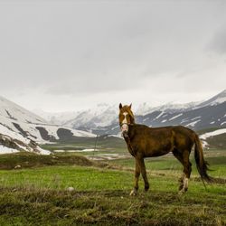 Faraşin Yaylası'ndan kartpostallık kareler
