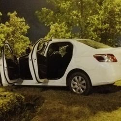 Kazada köpeği kaybolan kadın, ortalığı birbirine kattı