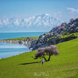 Çarpanak Adası'nın eşsiz güzelliği