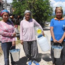 Antalya'da bir mahalle içme suyuna hasret kaldı