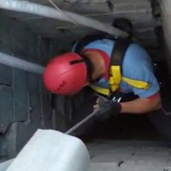 Havalandırma boşluğuna düşen yavru kedi kurtarıldı