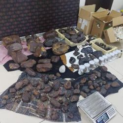Mersin'de 11 milyon TL değerinde balina kusmuğu bulundu