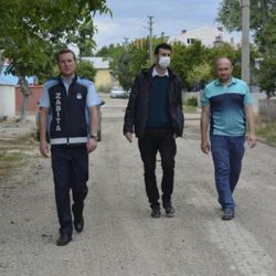 Edirne'de zehirli et yiyen kedi ve köpekler öldü