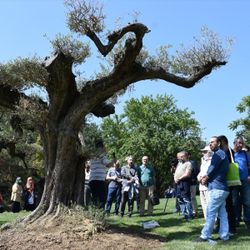 Şair Cahit Zarifoğlu, mezarında şiirleriyle anıldı