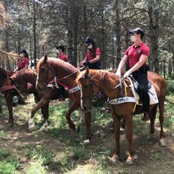 İstanbul'un ormanlarını Doğa Devriyesi koruyacak