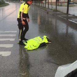 Yozgat'ta polis, montuyla köpeği korudu