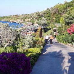 Bodrum’un fahiş fiyatları İngiliz basınında