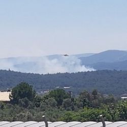 İzmir Urla'da orman yangını