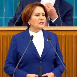 Akşener: Güzelim Gelibolu ormanları yandı gitti