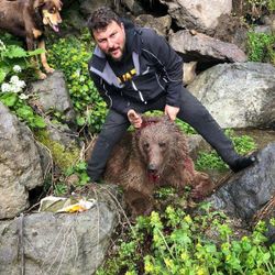 Artvin’de yavru ayıyı vurup, köpekleri saldı