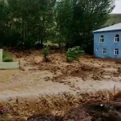 Bingöl'de sel ev ve ekili alanlara zarar verdi