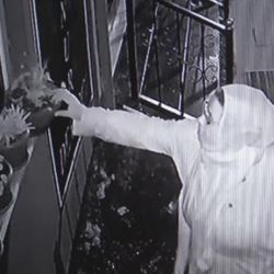 Cam korkuluklardan duran saksıdaki çiçeği çaldı