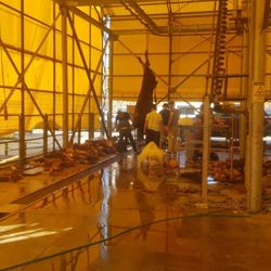 İBB kurban kesim alanında kasaplar kaçtı