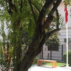 Selanik'teki Türk Başkonsolosluğu'na saldırı