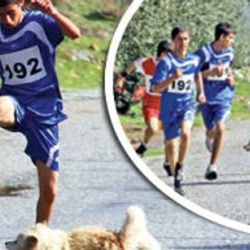 Yarışmada birinciyi köpek belirledi