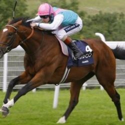 Tarihin en pahalı atı: Frankel