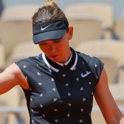 Halep Fransa Açık'a veda etti