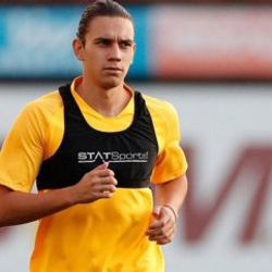 Kocaman istedi, Terim onayı verdi