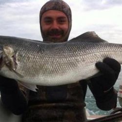 Ordu'da 14 kiloluk levrek avlandı