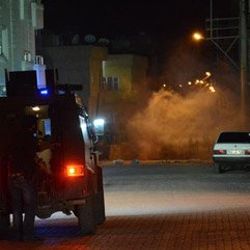 Mardin'de izinsiz gösteriye müdahale