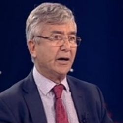 Mesut Hakkı Caşın: Türkiye tetiği çekmeli